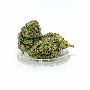 CBD Kwiaty Konopi ”TROPICANA” 1 g