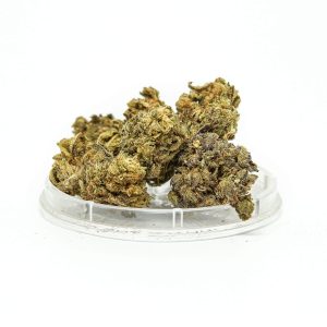 CBD Kwiaty Konopi ”BUBBELS” 1 g