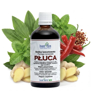 PŁUCA 100 ml Płyn Oddech Kaszel Oczyszczanie Eukaliptus Mięta Imbir