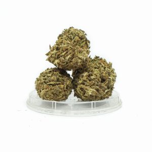 CBD Kwiaty konopi „HAWAI HAZE” 1 g