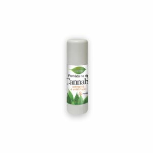 Pomadka do ust – BIONE – 11 ml
