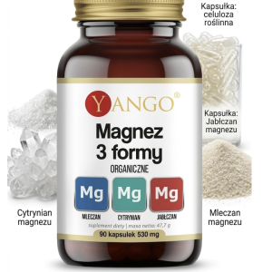 Magnez 3 formy – 90 kaps.