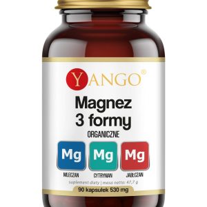 Magnez 3 formy – 90 kaps.
